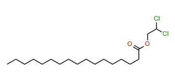 2,2-Dichloroethyl heptadecanoate